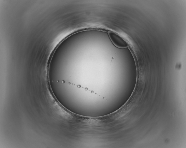 X0000091071287200708061254