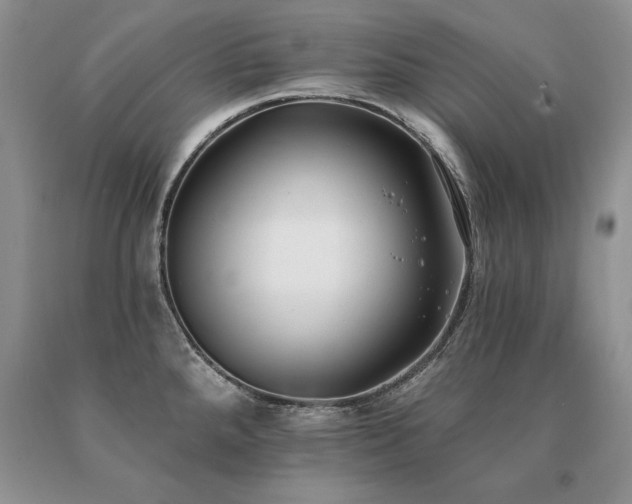 X0000091071288200708061254