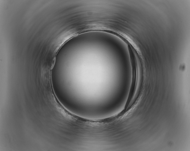 X0000091071289200708061254