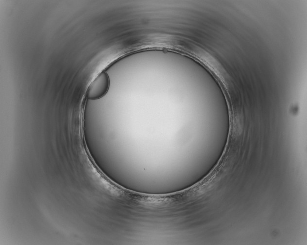 X0000091071290200708061254