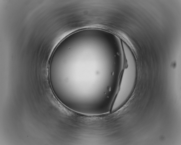 X0000091071292200708061254