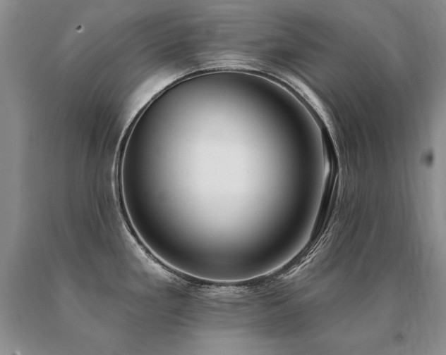 X0000091071293200708061254