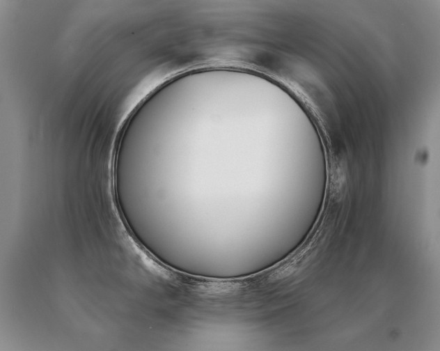 X0000091071294200708061254