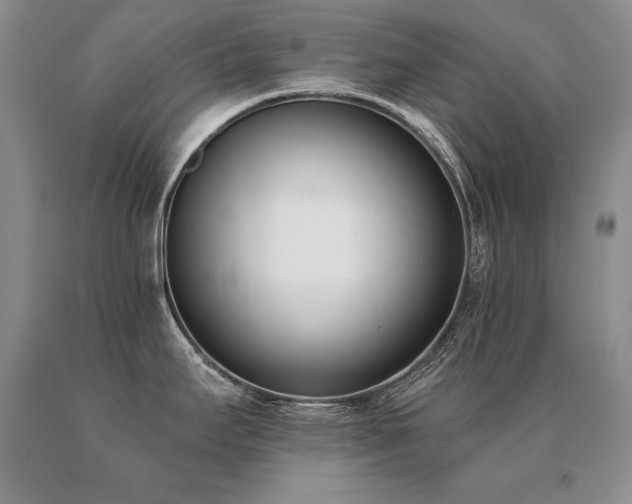 X0000091071295200708061254