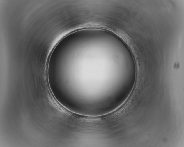 X0000091071296200708061254