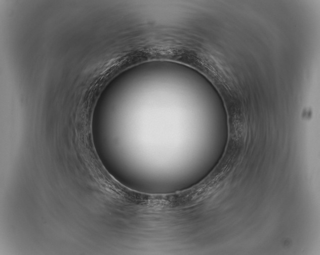 X0000091071297200708061254