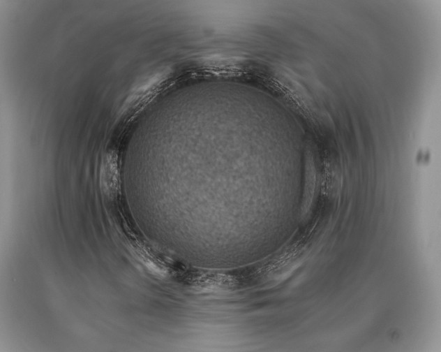 X0000091071298200708061254