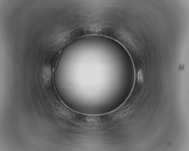 X0000091071299200708061254