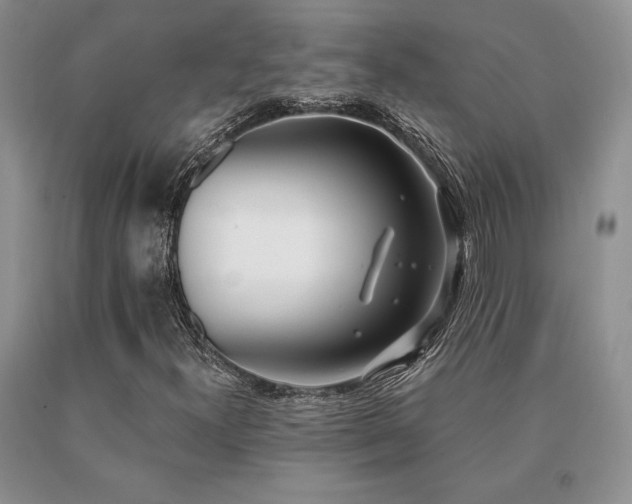 X0000091071300200708061254