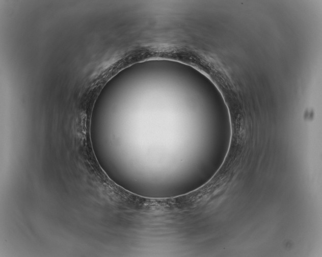 X0000091071301200708061254