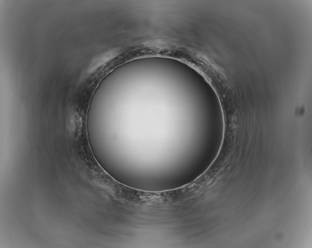 X0000091071302200708061254