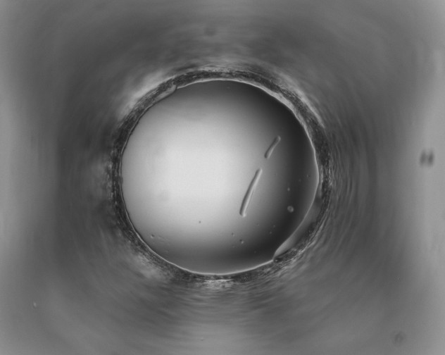 X0000091071304200708061254