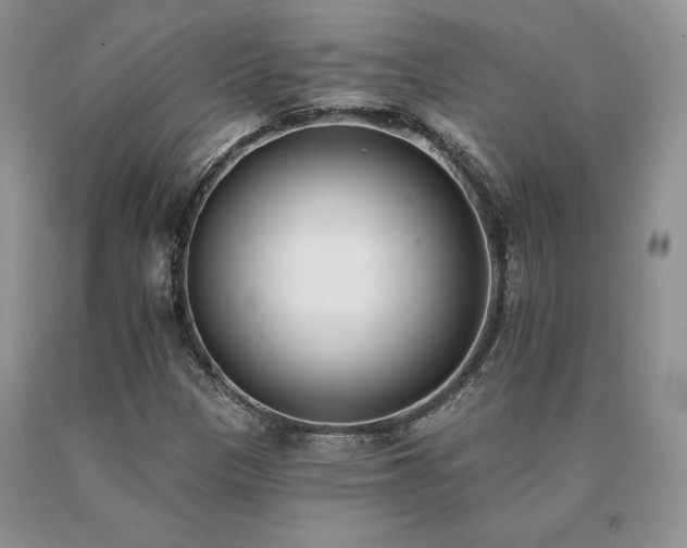 X0000091071305200708061254