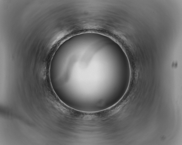 X0000091071306200708061254