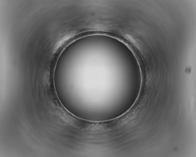 X0000091071307200708061254