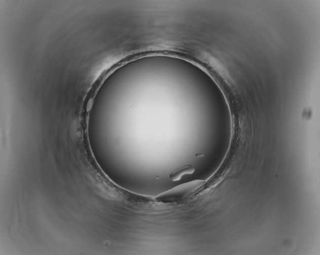 X0000091071308200708061254