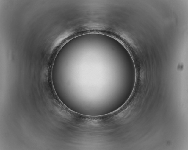 X0000091071309200708061254