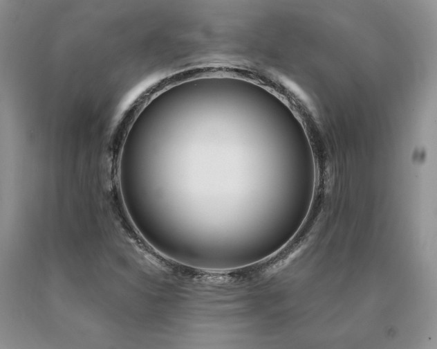X0000091071310200708061254