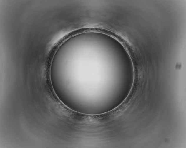 X0000091071311200708061254