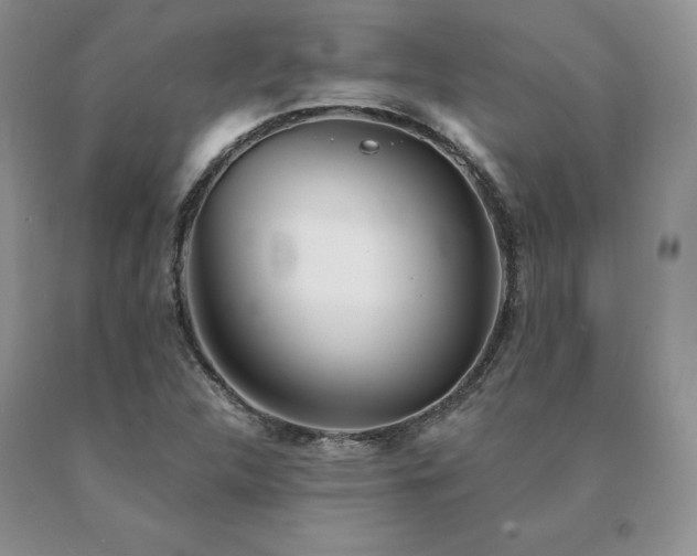 X0000091071312200708061254