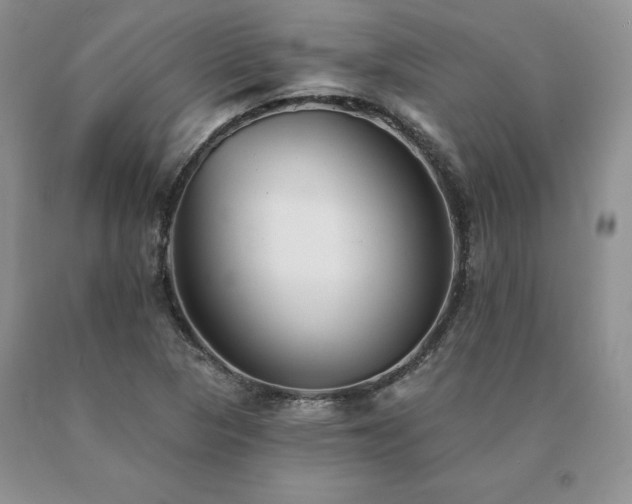 X0000091071313200708061254