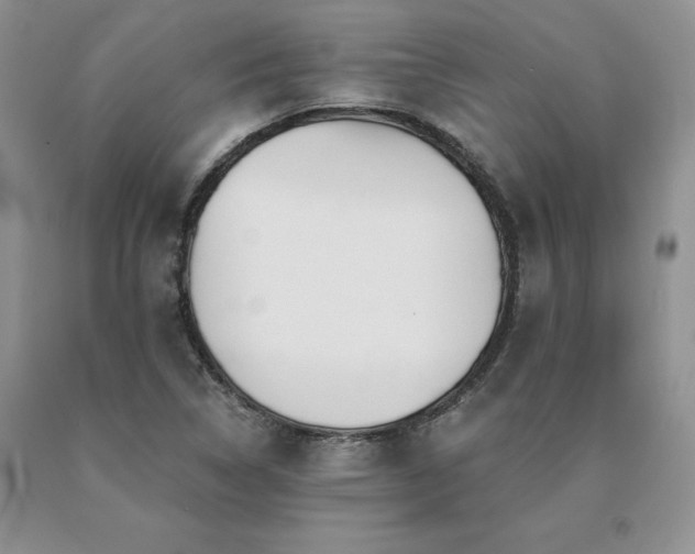 X0000091071314200708061254