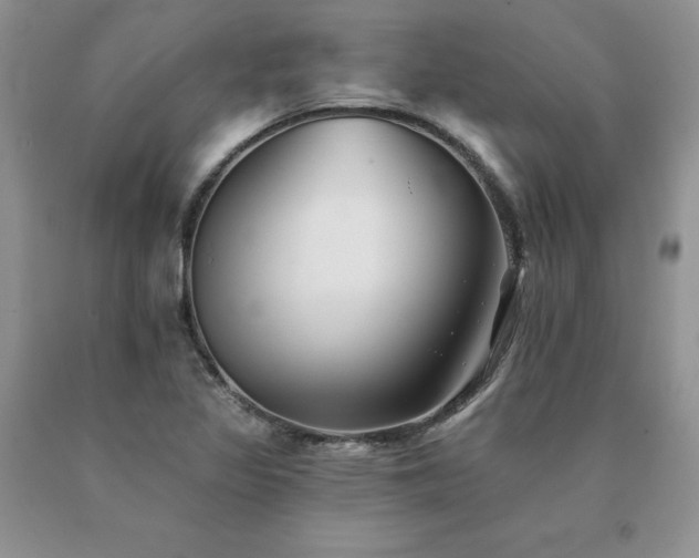 X0000091071317200708061254