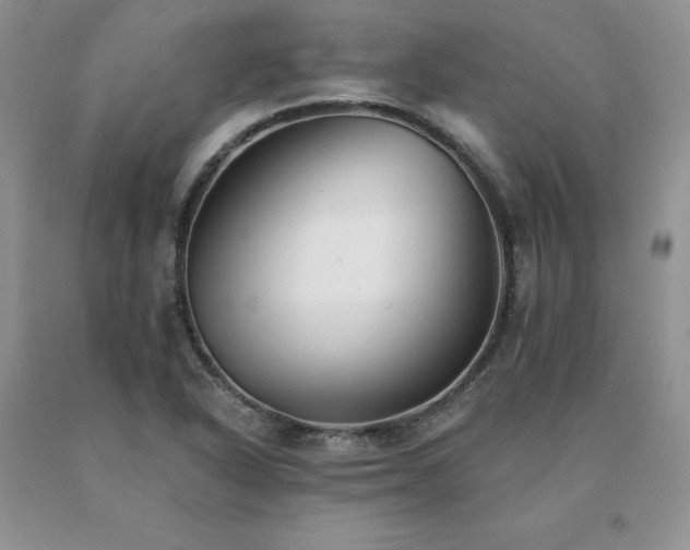 X0000091071318200708061254