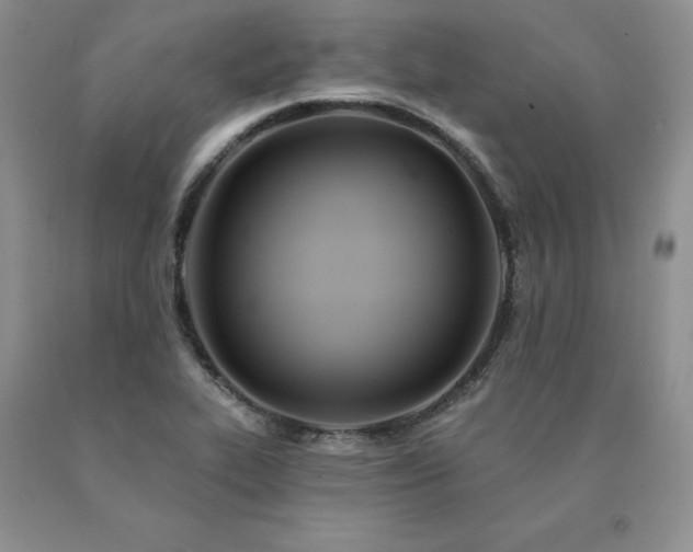 X0000091071319200708061254