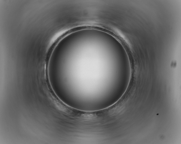 X0000091071320200708061254