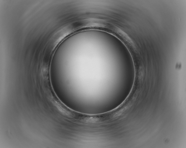 X0000091071321200708061254