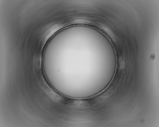 X0000091071322200708061254