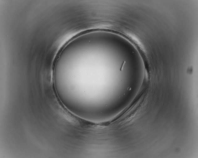 X0000091071324200708061254