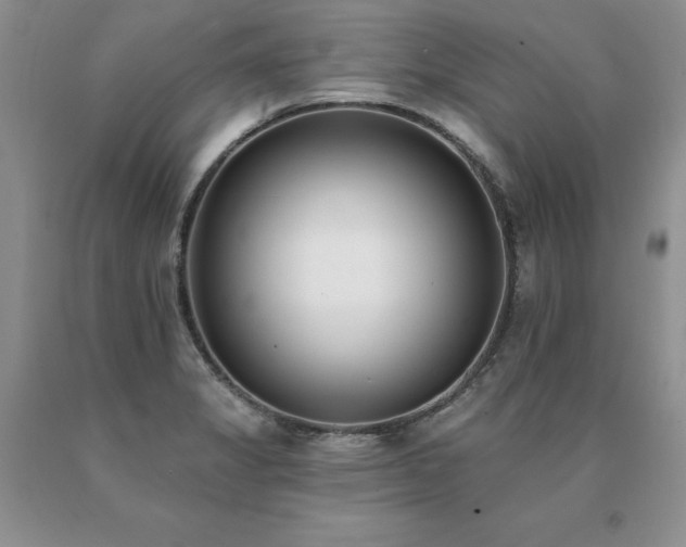 X0000091071325200708061254