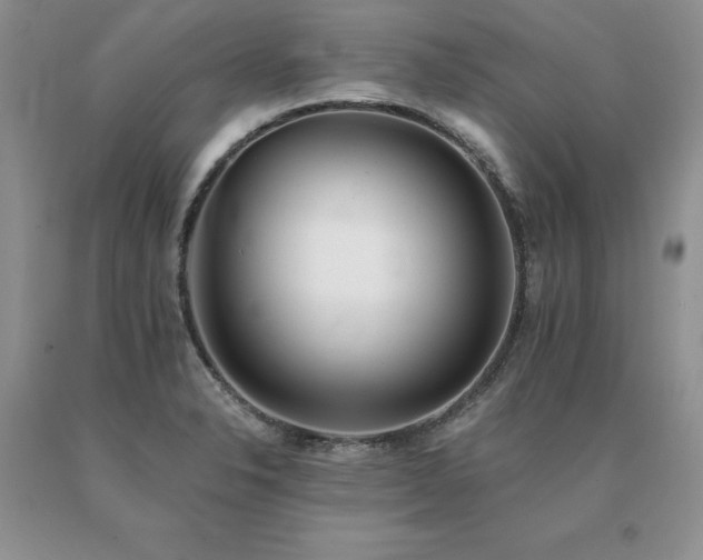 X0000091071326200708061254