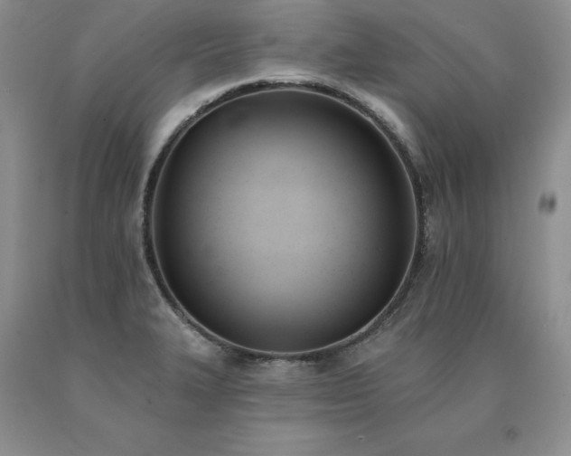 X0000091071327200708061254