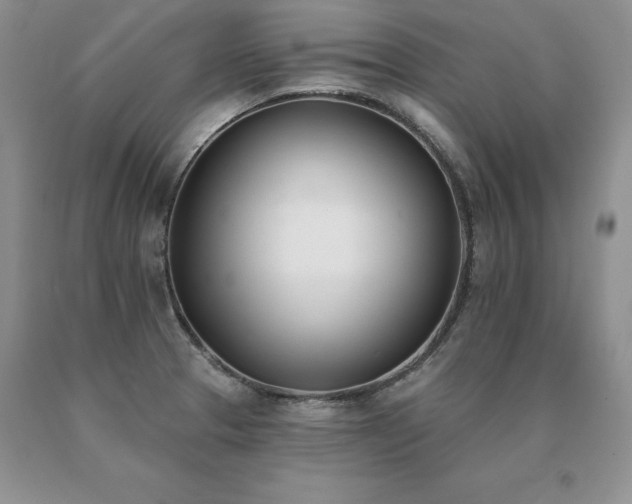 X0000091071329200708061254