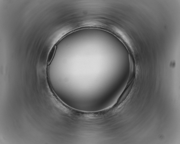 X0000091071330200708061254