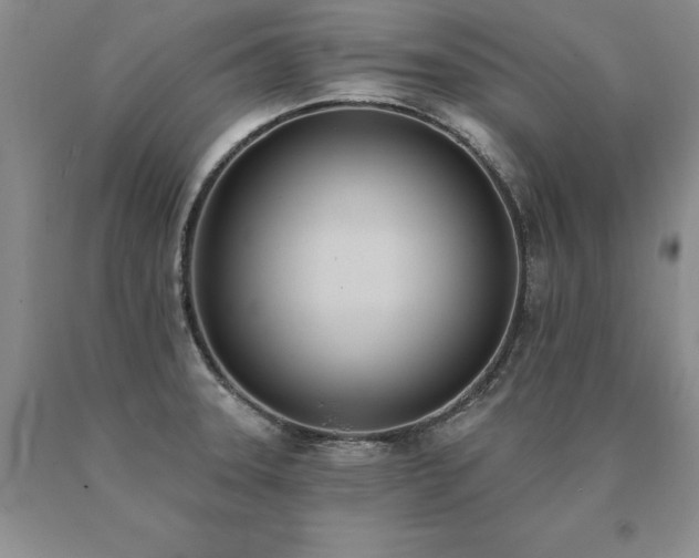 X0000091071331200708061254