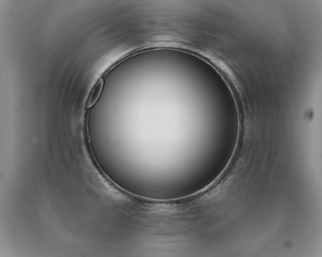 X0000091071333200708061254
