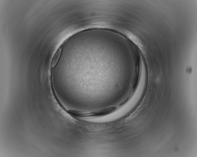 X0000091071334200708061254