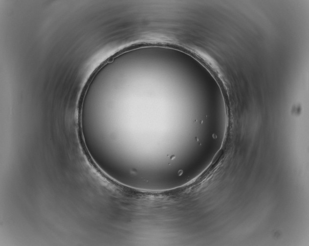 X0000091071335200708061254