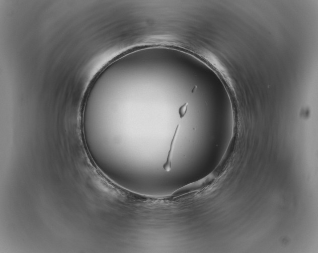 X0000091071336200708061254