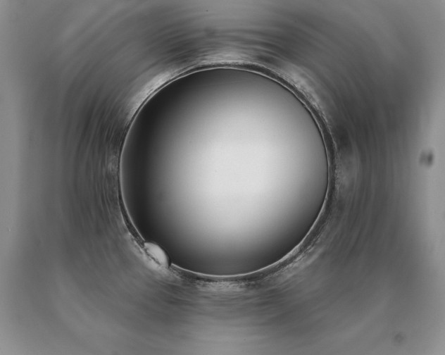 X0000091071337200708061254