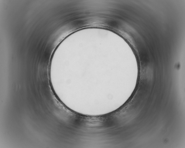 X0000091071338200708061254