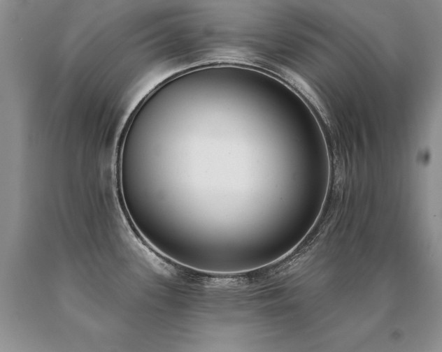X0000091071339200708061254