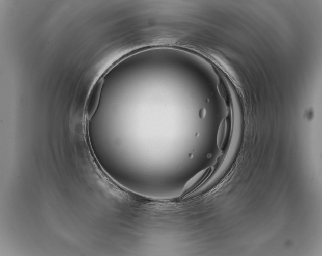 X0000091071340200708061254