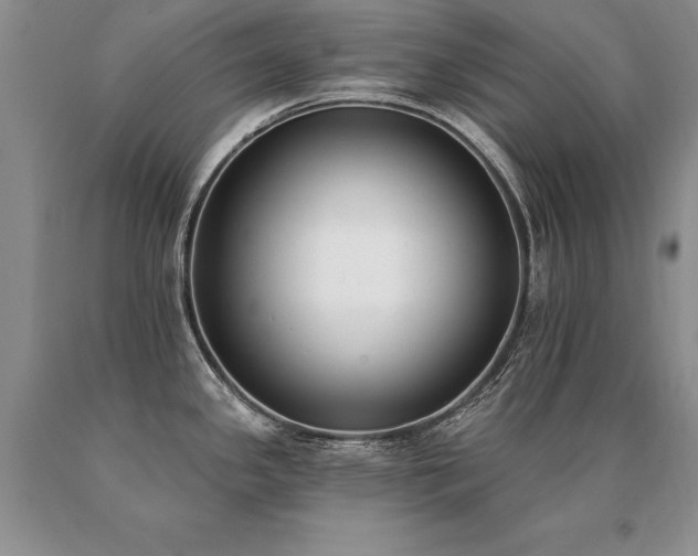 X0000091071341200708061254