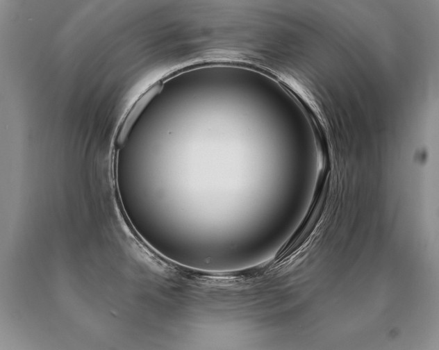 X0000091071342200708061254