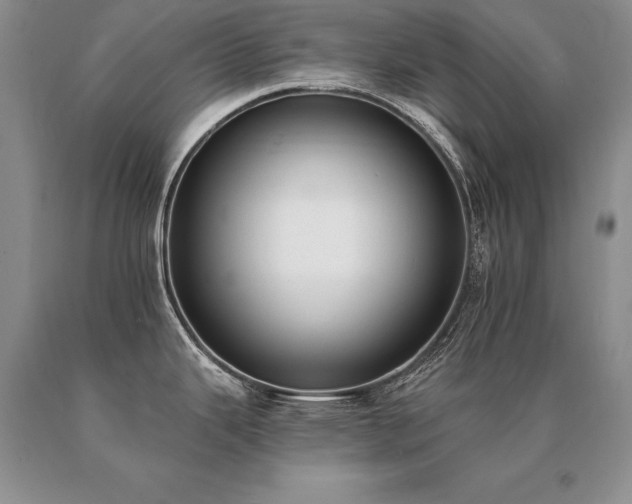 X0000091071343200708061254
